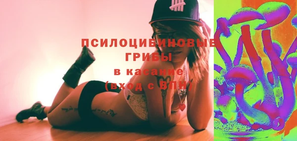 молекула духа Белоозёрский