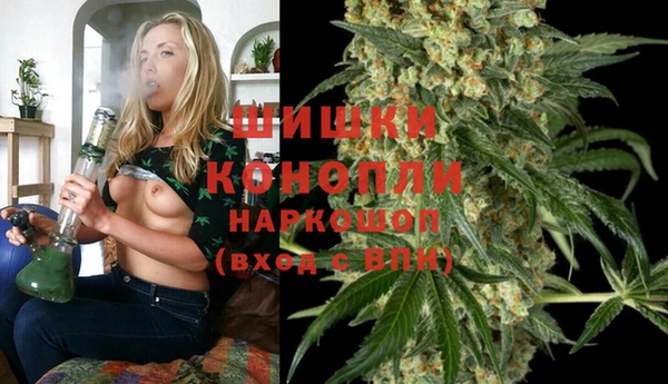 молекула духа Белоозёрский