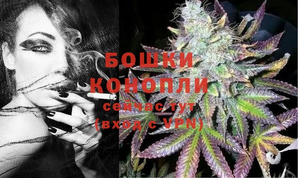 молекула духа Белоозёрский