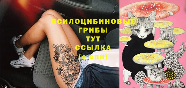 молекула духа Белоозёрский