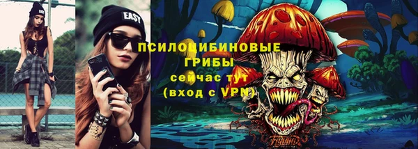 молекула духа Белоозёрский