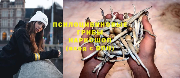 каннабис Белокуриха